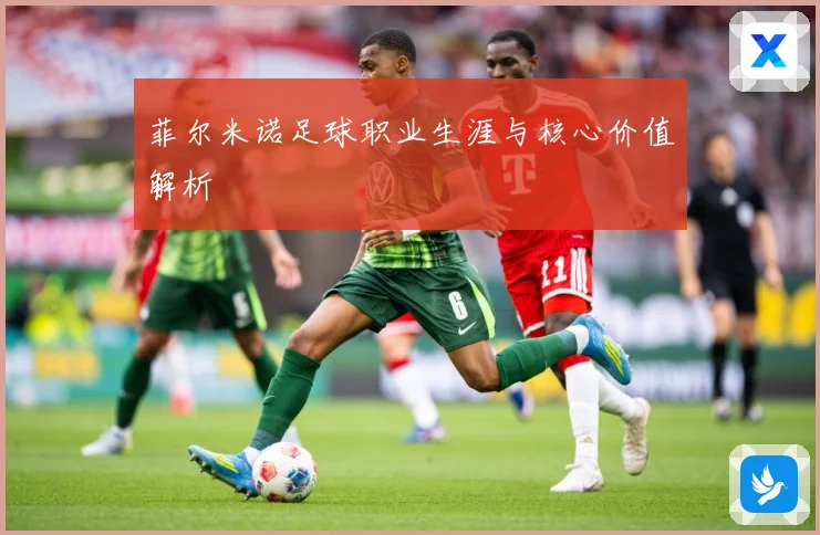 菲尔米诺足球职业生涯与核心价值解析