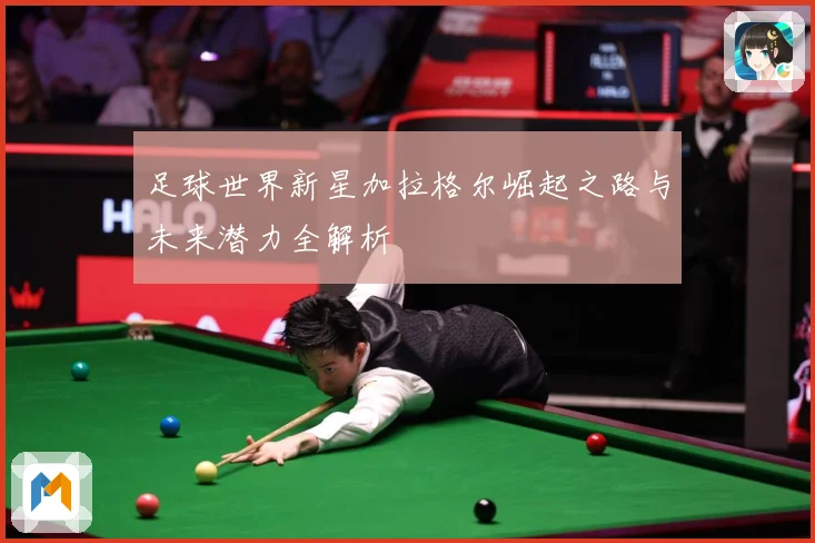 足球世界新星加拉格尔崛起之路与未来潜力全解析